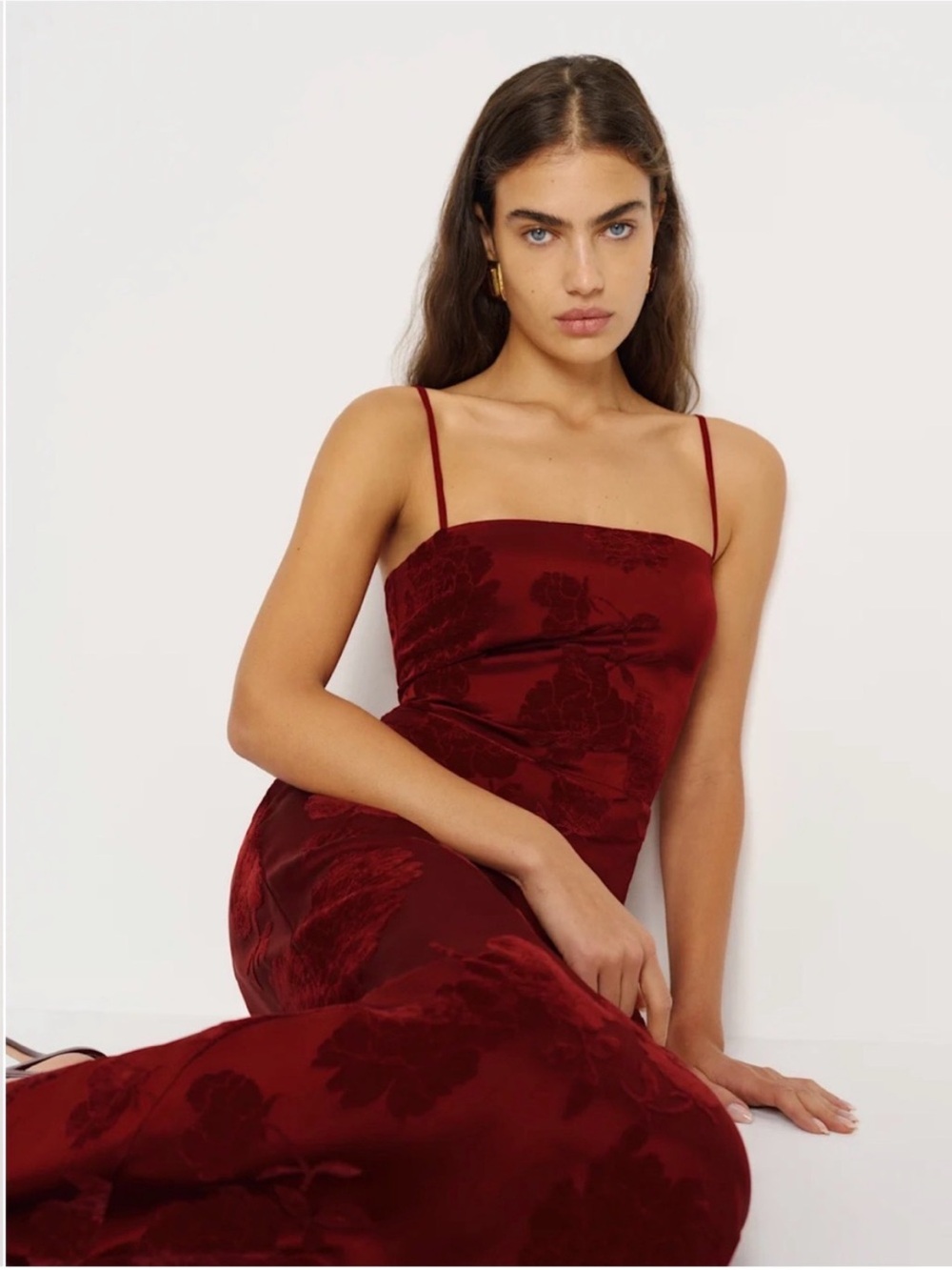 Reformation Frankie Scarlet Slip Maxi Dress Floral Velvet Burnout New Size 10 - Picture 3 of 15